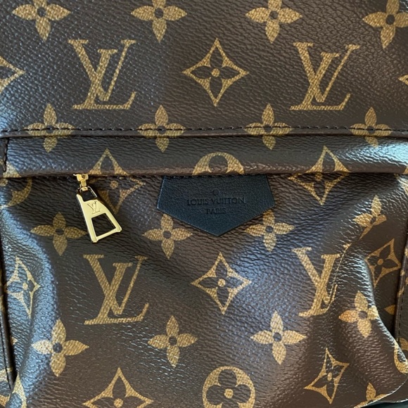 Louis Vuitton Palm Springs PM Backpack - Picture 8 of 10